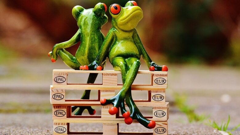 Czy uruchomienie punktu skupu palet to dobry pomysł na swój biznes