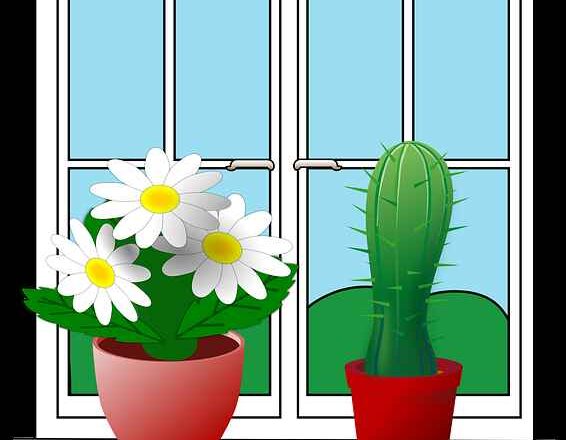 Jak czyścić lakierowane drzwi drewniane – pewność i ochrona